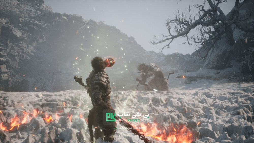 Black-Myth-Wukong-PayKeyShop-Cover-Pc-2